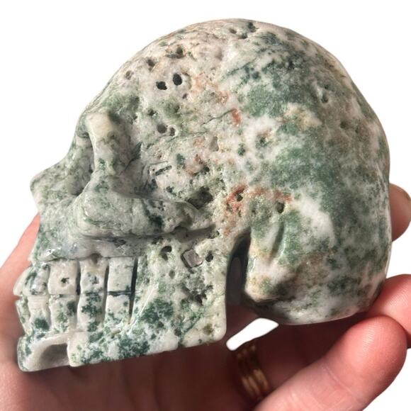 Natural Tree Agate Crystal Skull Head Carving Druzy Healing Stone Mineral - Picture 4 of 8